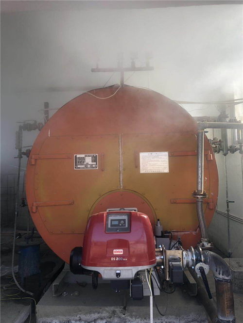 沼气燃烧器总代 在线咨询 青海燃烧器