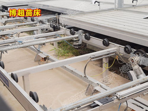 全自动物流苗床系统